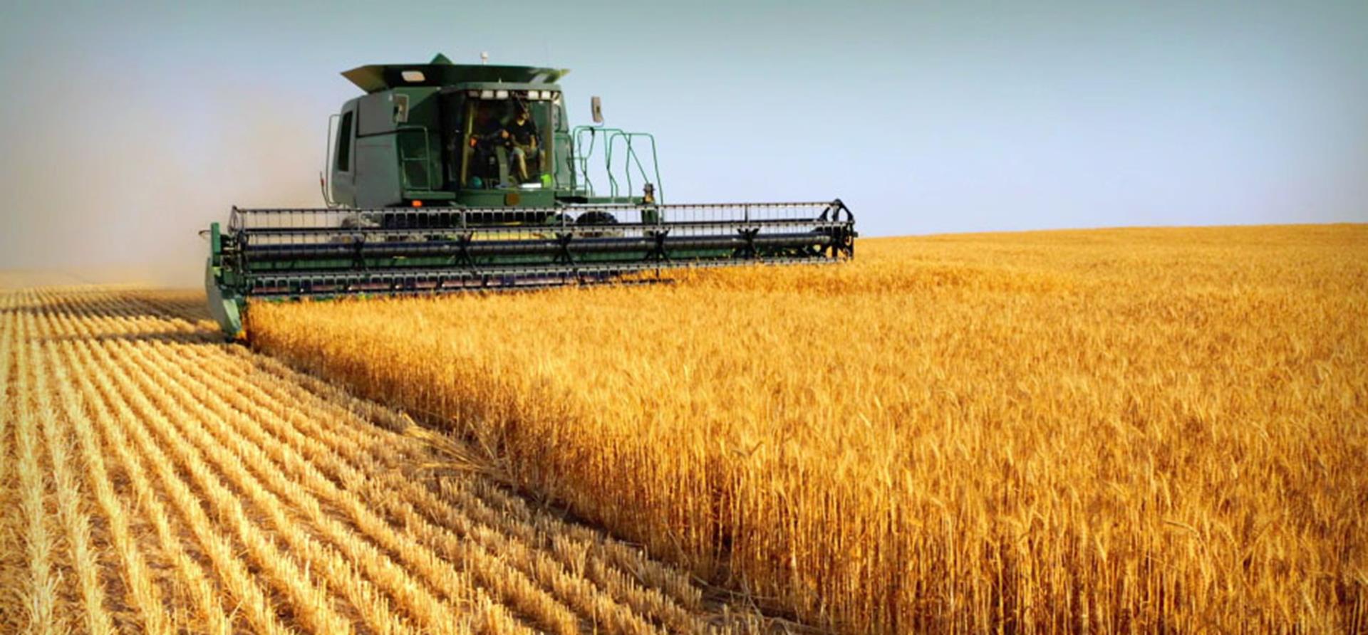 farming